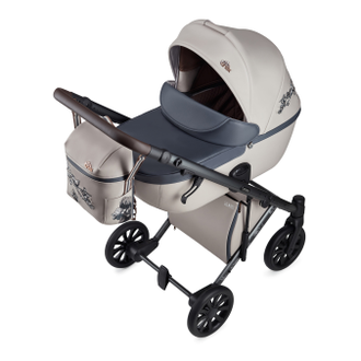 Коляска 2в1 Anex e/type Eden