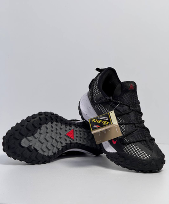 Nike ACG Mountain Fly Low GORE-TEX
