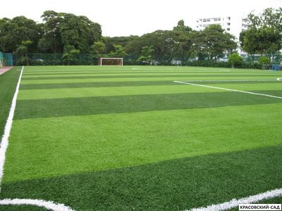 Рулонный газон Биг-ролл