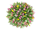 Корзина цветов «101 тюльпан»