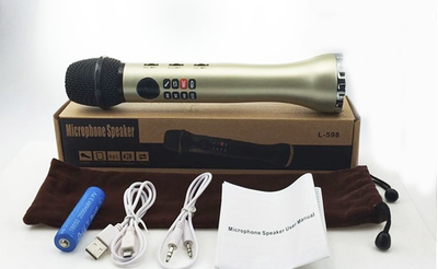 Беспроводной караоке-микрофон L-598 9W