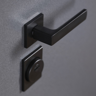 Стальная дверь    Беркут с зеркалом