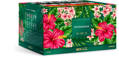 Батарея салютов ТРОПИКАНА (1,2" / 100 залпов)