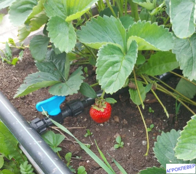 Кран стартовый для капельной ленты с поджимом (GH)