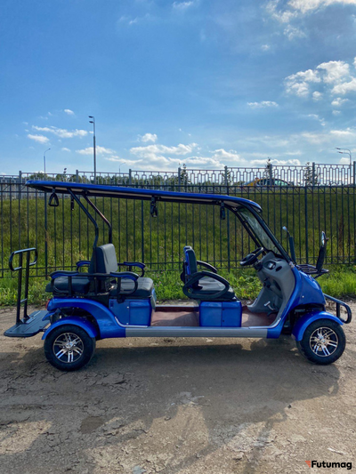 Гольфкар GreenCamel A42 52Ah (4+2 2500W 225/40-10' литые)