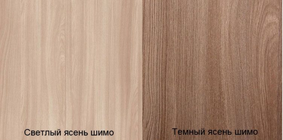 Шкаф-купе "Элегант 1" 1260мм (ЭРА)