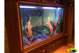 Встроенный аквариум в загородный дом