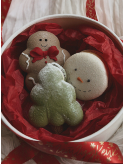 Набор макаронс