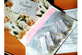 семенами запасаются с сентября