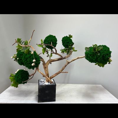 Живая эко-композиция 1006