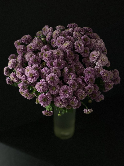 Сантини 25 шт