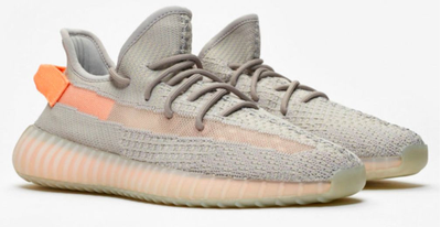 Adidas Yeezy Boost 350 v2 True Form (Серые)