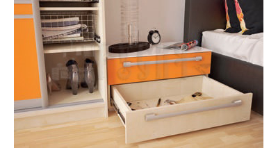 Шкаф-купе Ариадна 021