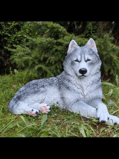 Хаски - садовая фигура 65*44см  6кг   экологичный полистоун Россия  5278/012308 Не боится влаги и перепадов температур.