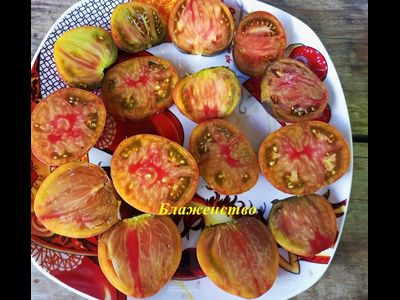 Томат Блаженство