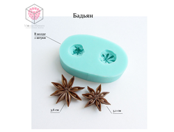 "Бадьян (звездочка аниса)" силиконовый молд