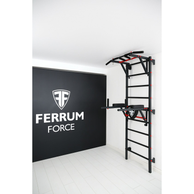 Шведская стенка Ferrum Force F2 купить в Воронеже