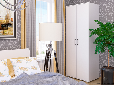 Шон-13 шкаф двухдверный распашной Белый