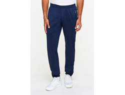 Спортивные брюки мужские SBM-20M-AS-1009  (темно-синий) (копия)