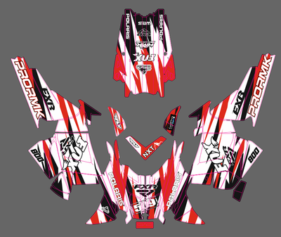 POLARIS RMK - 2009-2015 #1318