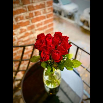 Роза Кения 50 см 15 шт