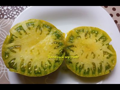 Томат Зеленый мустанг (Green Mustang)