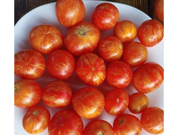 Томат гном Дельта Дивер желтый (Delta Diver yellow)  США