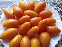 Томат Лисичка