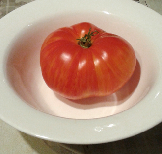 Семена томата План 9 из открытого космоса