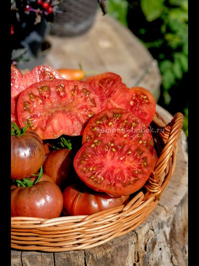 Томат Муаровый Закат, 10 шт