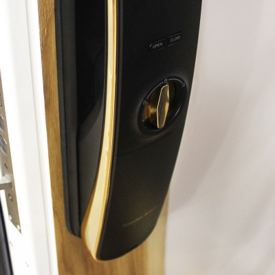 Стальная дверь   Lamborghini. Заказная модель.