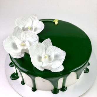 Белая орхидея