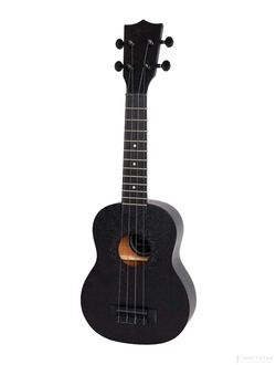 Flight NUS310 BLACKBIRD