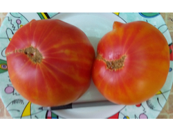 Томат Звездчатый из Беллинзоны (Stellato di Bellinzona)