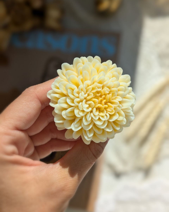 Хризантема размер М