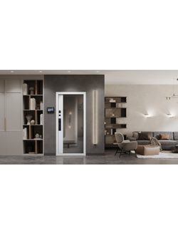 Стальная дверь   Сапсан с зеркалом (биометрический замок Smart lock DZ 888)