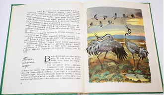 Бианки В. В. Наши птицы. М.: Малыш. 1983г.