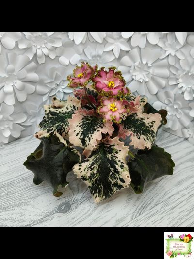 МТ-Пески Времени (М. Тотиева) 2022 г.