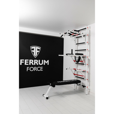 Шведская стенка Ferrum Force FR5 купить в Воронеже
