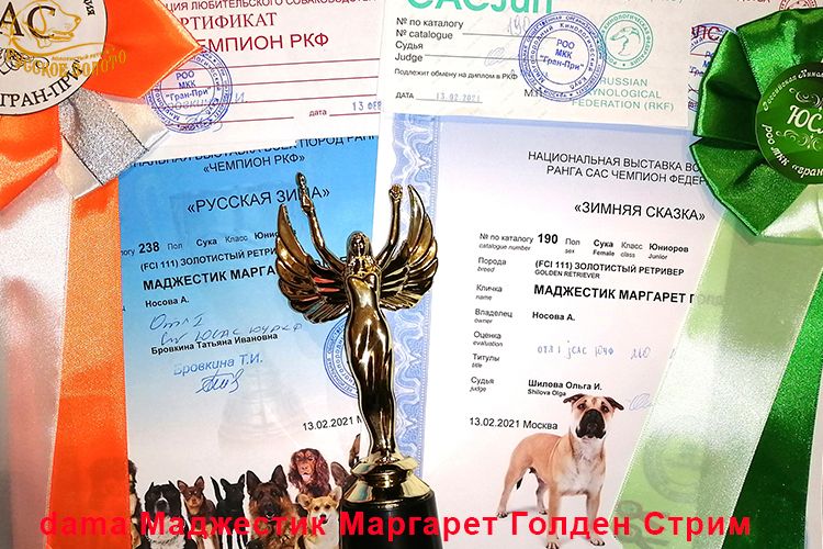 Марго - Юный Чемпион России и Юный Чемпион РКФ