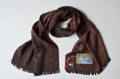 Шарф Vizio 6211 SS коричневый