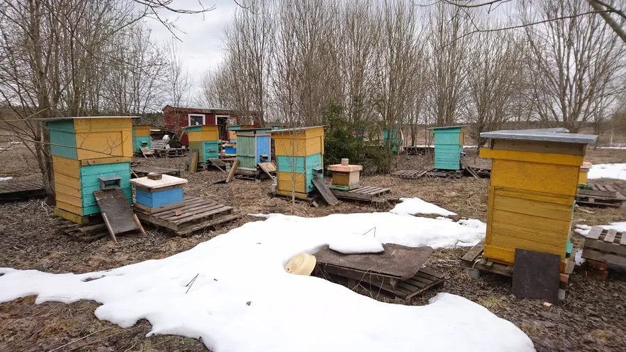 14 апреля а на пасеке снег