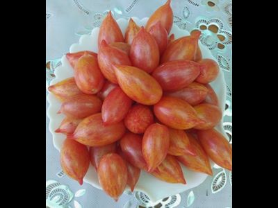 Томат Конфета сладкая сосулька (Candy Sweet Icicle)