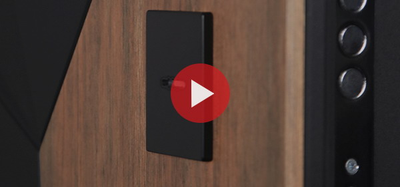 Стальная дверь   Макс 3D с зеркалом (умная дверная ручка). Заказная модель.