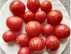 Томат Вернисаж розовый