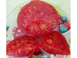 Томат Бурлак минусинский