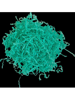 Наполнитель бумажный волнистый Премиум (аквамарин), 500г