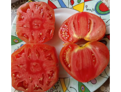 Томат Ребристый Эуганских Холмов (Costoluto Colli Euganei), Италия