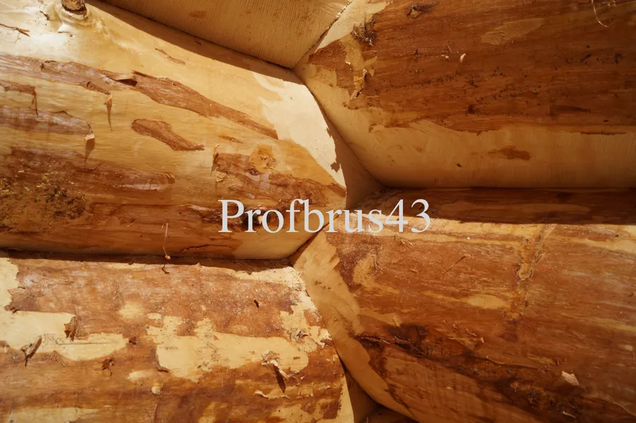 Качество рубки бани вблизи, технология Русская рубка