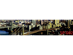 SP-002  ГОРОД МОСТ ДЕНЬ Глянцевая  стеновая панель ALBICO 2800*610*6мм *